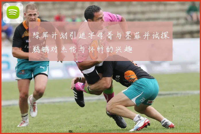 绿军计划引进字母哥与墨菲并试探鹈鹕对杰伦与怀特的兴趣